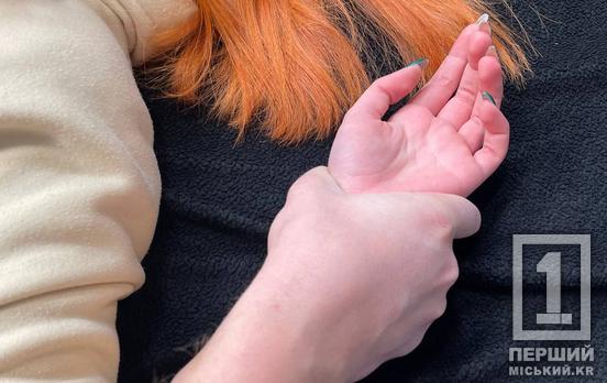 У Кривому Розі взяли під варту фігуранта справи про зґвалтування