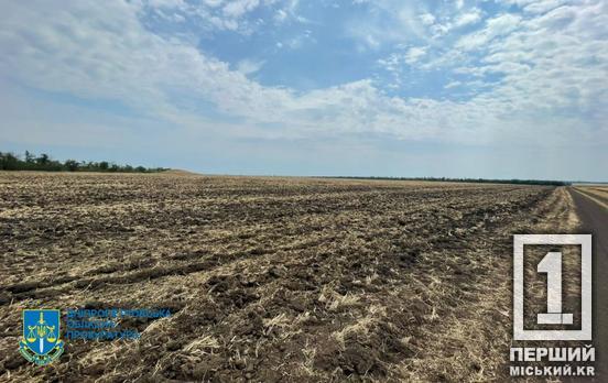 Соглашение расторгнуто из-за нарушений: на Криворожье государству вернули участок ценой около 80 млн грн