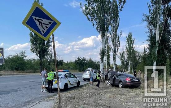 Уникав одну ДТП і потрапив в іншу: на криворізькій об’їзній Skoda вдарила дерево