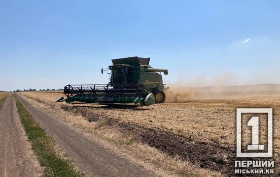 За врожай можна не переживати: Дніпропетровщина розпочала обмолот проса