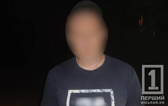 Був без прав і на «липових» номерах: криворізькі патрульні викрили таксиста нелегала