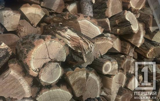 Гроші на тепло: мешканці прифронтових громад Дніпропетровщини отримають майже 20 тисяч грн на дрова