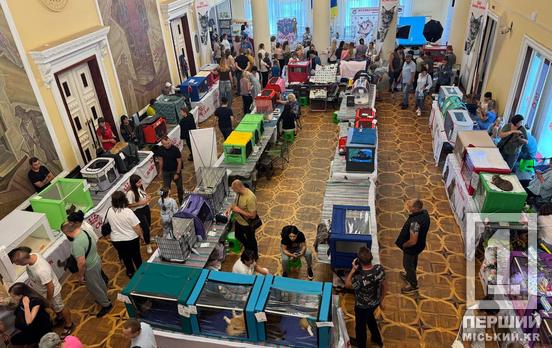 Філія пухнастого посольства у Кривому Розі: містяни відвідали виставку котиків