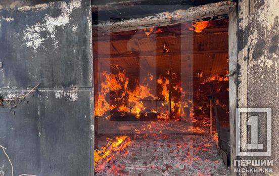 На Криворіжжі чоловік з ножем поранив п’ятьох людей і підпалив хлів: зупинити його зміг лише постріл поліцейського