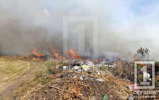 Горел мусор, а огонь разнесся вокруг: в Кривом Роге горело 1,5 га сухостоя