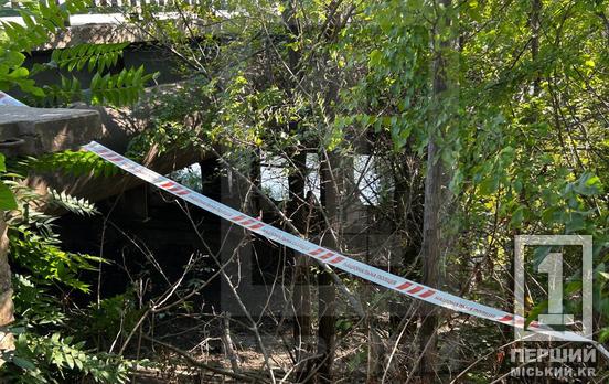 Її шукали з 4 вересня: на Зарічному з води дістали тіло 16-річної Дар’ї Ткачової