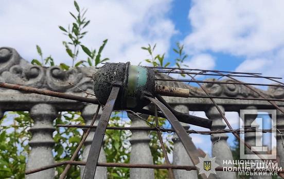 Хотіла захистити дачу від непроханих гостей: у Кривому Розі жінка залишила біля будинку гранату