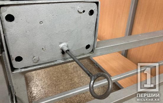 Уніс вартісну техніку: у Кривому Розі судили чоловіка, який обікрав авто