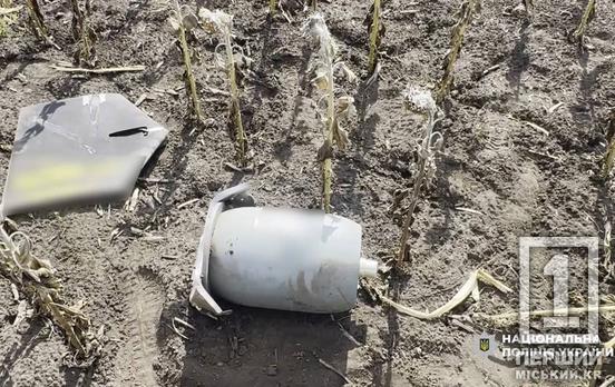 Вороже залізяччя було серед поля соняхів: на Криворіжжі знешкодили небезпечні залишки бойового дрона