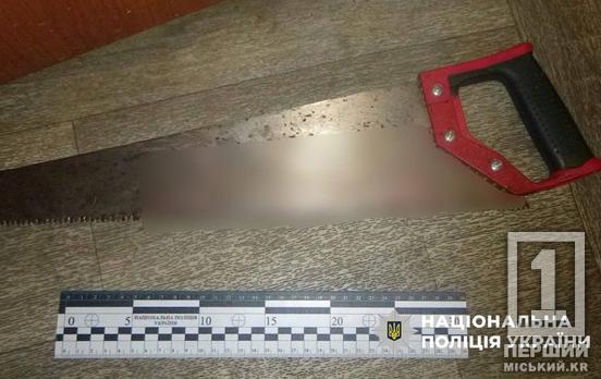 Криваво розправився з бабусею та відрубав голову дідусеві: у Кривому Розі затримали 27-річного чоловіка за підозрою у вбивстві