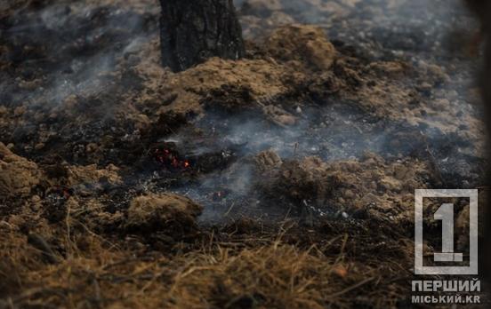 Криворізький район очолив «рейтинг»: названа кількість пожеж просто неба на Дніпропетровщині від початку поточного року