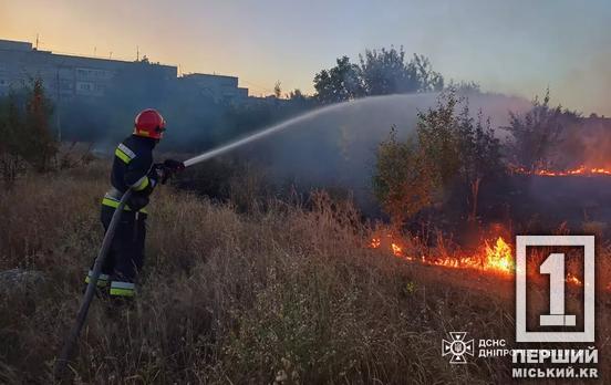 Небезпека ще не минула: за добу на Дніпропетровщині вигоріло 20 га екосистем