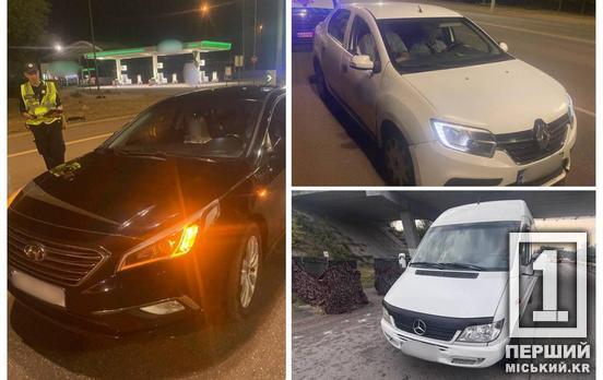 Дізнаються розмір свого штрафу у суді: у Дніпропетровській області виявили одинадцять водіїв-нелегалів