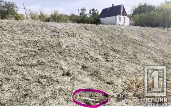 Довелося підривати біля приватного будинку: на Криворіжжі знешкодили нерозірваний боєприпас