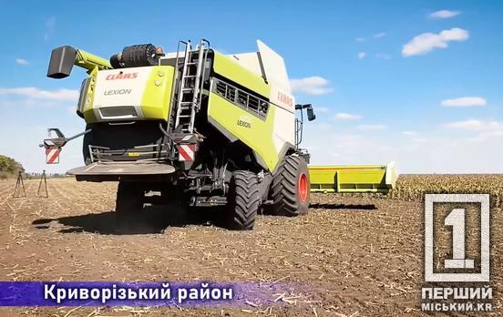 Криворізький район увійшов в число тих, хто забезпечив левову частку врожаю в області