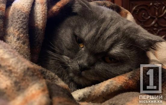 Як підготувати оселю до холодів: практичний чекліст, щоб зима не застала зненацька