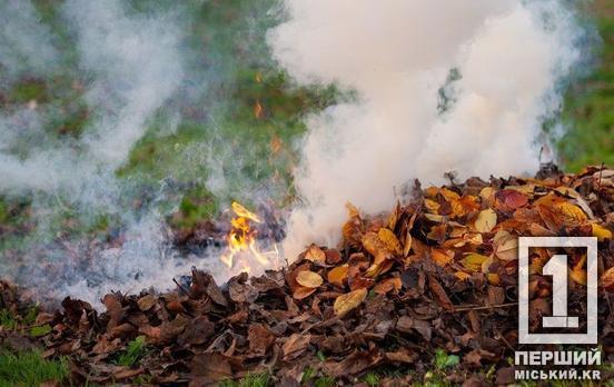 Шкода для здоров’я, гаманця і свободи: у Дніпропетровській області нагадали розмір штрафів через заборону спалювання листя