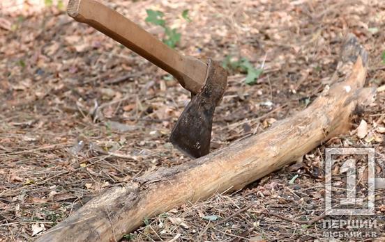 «Сейчас тебя буду рубить и выносить по частям из квартиры»: жительница Кривого Рога угрожала соседу расправой и чуть не разнесла топором дверь его дома