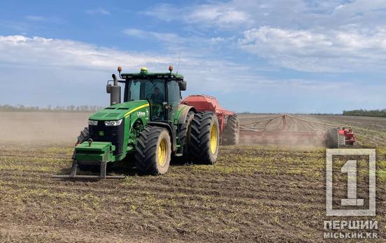 Формують урожай наступного року: Дніпропетровщину віднесли до лідерів з посіву озимих