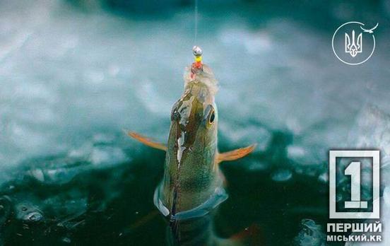 На Дніпропетровщині заборонять ловити рибу у зимувальних ямах: терміни та покарання