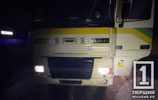 Шансів вижити не було: 69-річний водій фури з Дніпропетровщини наїхав на жінку на Львівщині