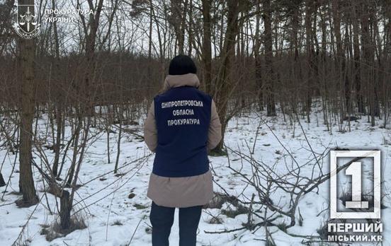 На Дніпропетровщині шахраї привласнили та продали державний ліс під забудову