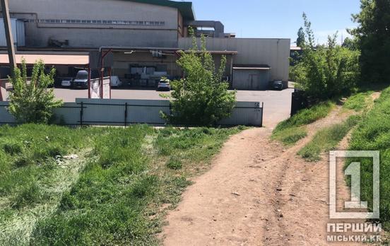 Вместо зеленого пейзажа были груды хлама: в Кривом Роге ликвидировали несколько стихийных свалок