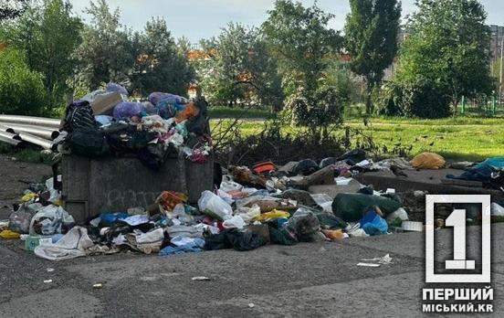 Мусорный «День сурка»: в Долгинцевском районе очищенная площадка за час вернулась к прежнему виду