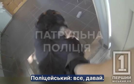 Ранения из-за ракетного удара: в Кривом Роге патрульные спасли собаку и ищут ее хозяев