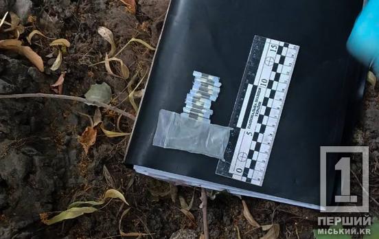 Побачив патрульних — викинув «чек»: у Кривому Розі ТОРівці затримали двох хлопців із наркотиками