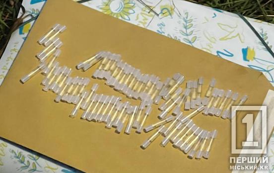 Зіп-пакет і 69 трубочок: у криворізькій лісосмузі поліція знайшла сховок з імовірними наркотиками