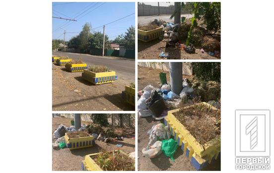 Хлів під відкритим небом: у Кривому Розі несвідомі люди перетворили вулицю Гетьмана Івана Мазепи на смітник