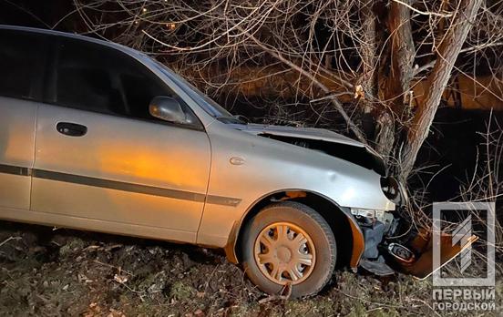 В Кривом Роге Daewoo съехал с дороги и врезался в дерево