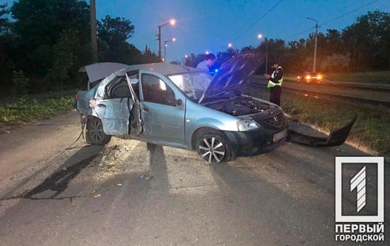 В Кривом Роге автомобиль снёс несколько деревьев и врезался в столб