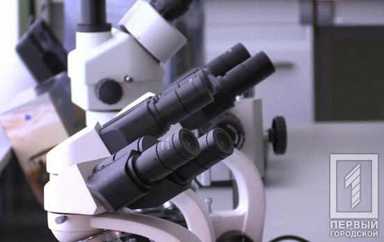 В селе под Кривым Рогом зафиксировали случай заражения животных бешенством