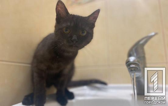 Ночью в частном секторе Кривого Рога ограничат подачу воды, – адреса