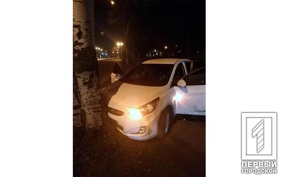 Врезался в дерево: полицейские Кривого Рога задержали мужчину, севшего за руль подшофе