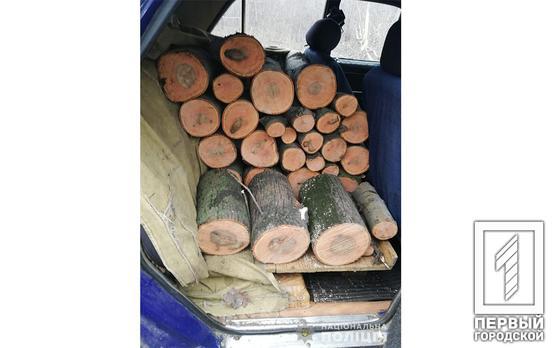 В Кривом Роге «на горячем» поймали нелегального лесоруба