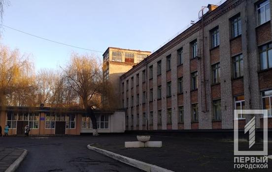 С крыши школы Кривого Рога убрали растущие там деревья