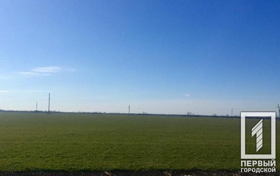 В Кривом Роге исправительный центр незаконно передал в аренду земельный участок