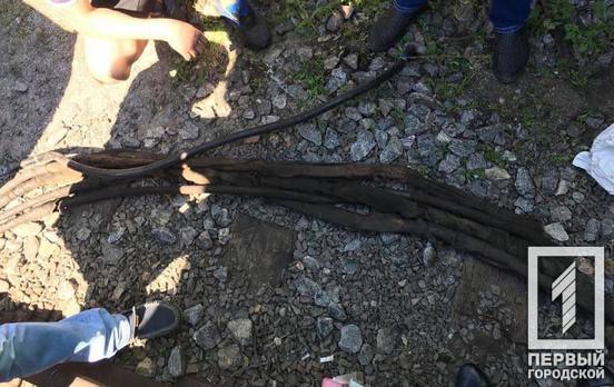 Полицейские задержали мужчину, который срезал кабели с локомотивов возле станции «Кривой Рог – Главный»