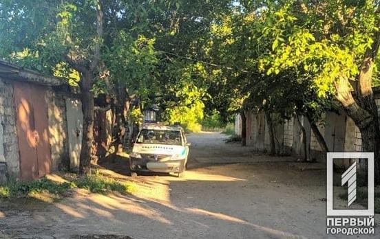 В Кривом Роге полиция задержала мужчину, который вынес аккумулятор из чужого гаража