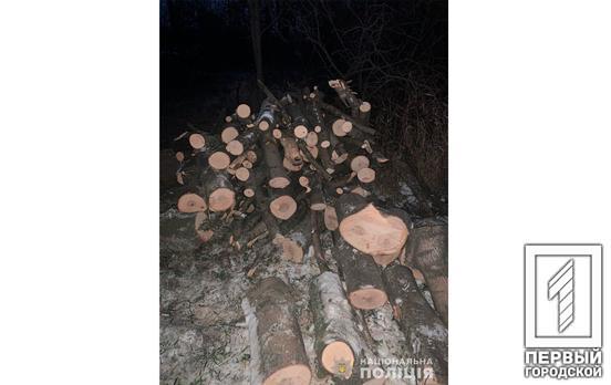 До трёх лет тюрьмы: под Кривым Рогом двое мужчин незаконно пилили лес