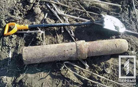 В поле под Кривым Рогом поисковики обнаружили устаревшую мину