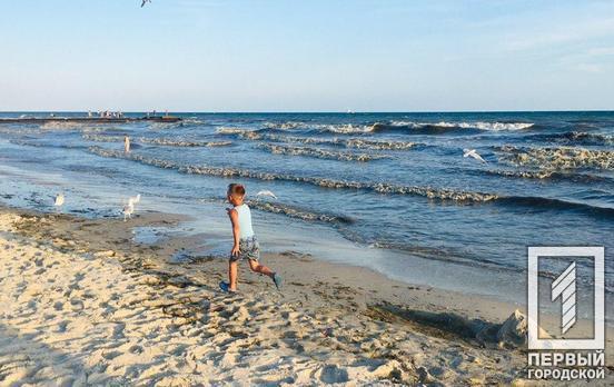 Пляжный сезон в Украине состоится, – главный санитарный врач Виктор Ляшко