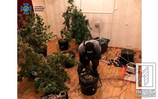 В Днепре СБУ разоблачили масштабный канал контрабанды психотропных веществ из Евросоюза