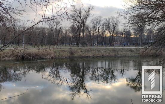 29 января в Кривом Роге будет дождь