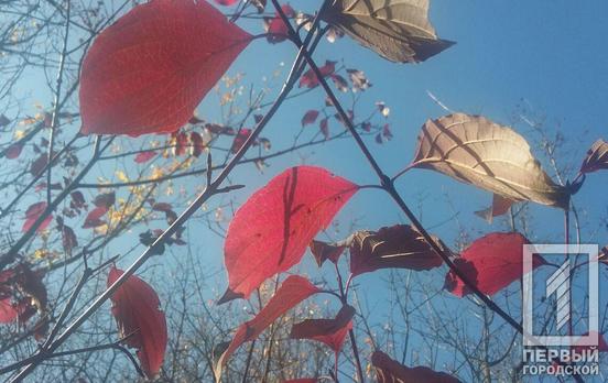 19 января в Кривом Роге будет переменная облачность