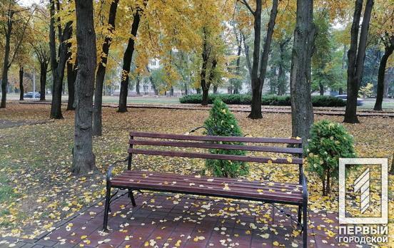 19 октября в Кривом Роге прогнозируют дождь