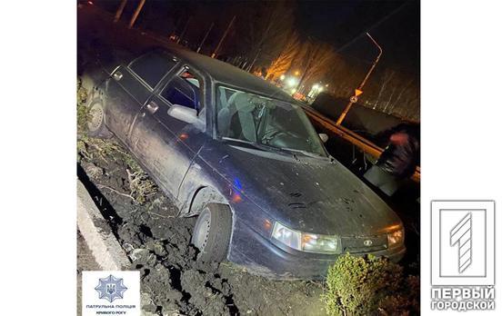 Припарковался на клумбе: в Кривом Роге нетрезвый мужчина пытался дать взятку патрульным